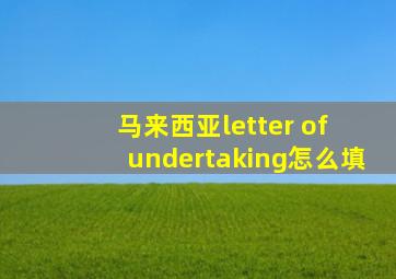 马来西亚letter of undertaking怎么填